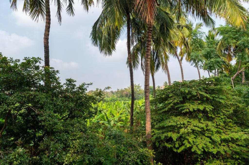 Saptami Hampi Homestay Kültér fotó